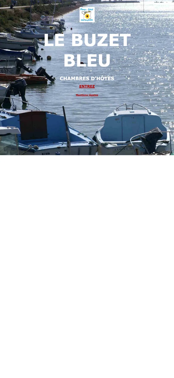 Capture mobile du site actuel : un écran d'accueil avec seulement « ENTREZ », sans menu, sans téléphone ni tarifs, mise en page de 980 px