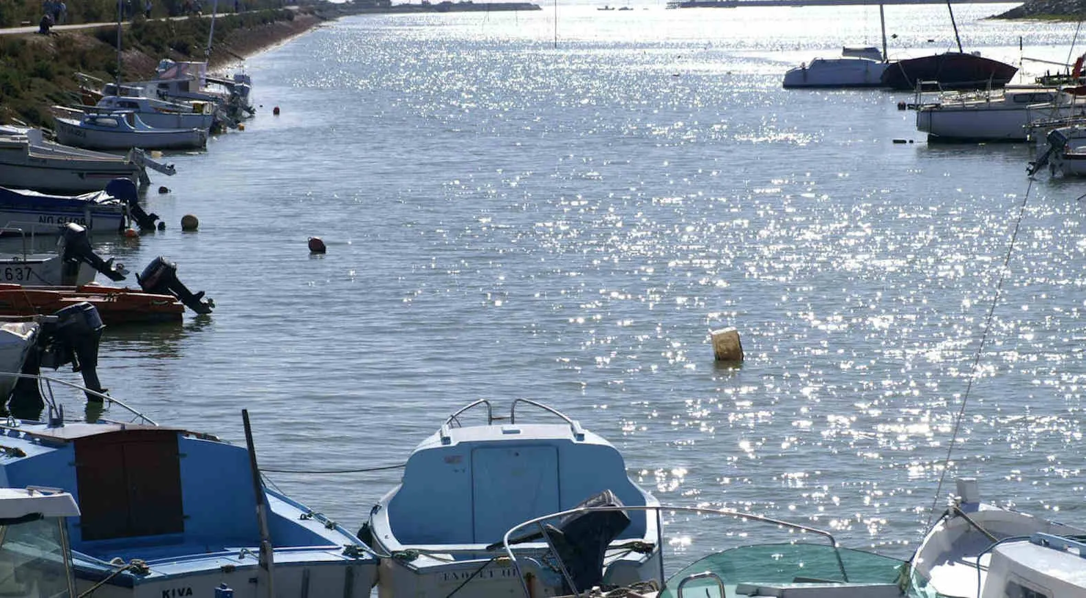 Barques amarrées sur le port de Noirmoutier, l'eau scintillante