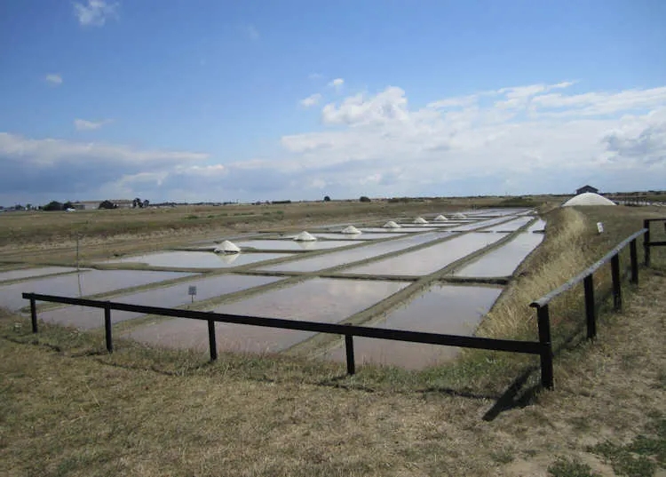 Les marais salants du centre de l'île